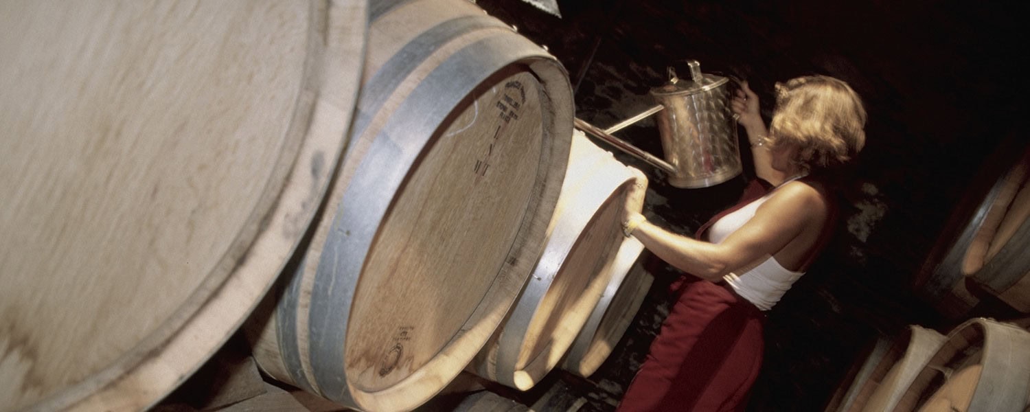 Woman inspecting wine barrels at Princess & Bear Wines winery.