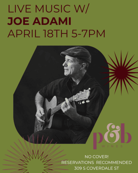 Live music performance by Joe Adami at Princess & Bear Wines.